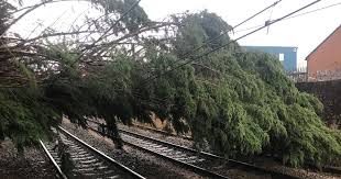 Elavation ready to help after Storm Eunice